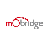 MOBRIDGE A2B 8.1.1 FORD DSP AMPLIFIER